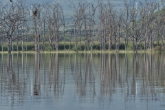 Afrika_2019