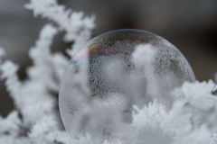 Seifenblase-gefroren