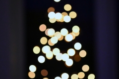 Weihnachtsbaum_Lichterkette