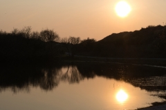 Holland-Martinzee