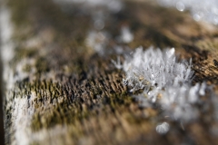 Eisauftotemholz