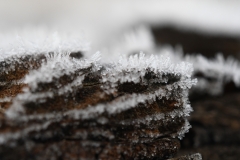 Eiskristalle-Holz2