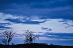 Mond_blaue_Stunde