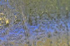 Wasserwand