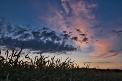 blauestunde_29
