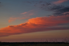 blauestunde_38
